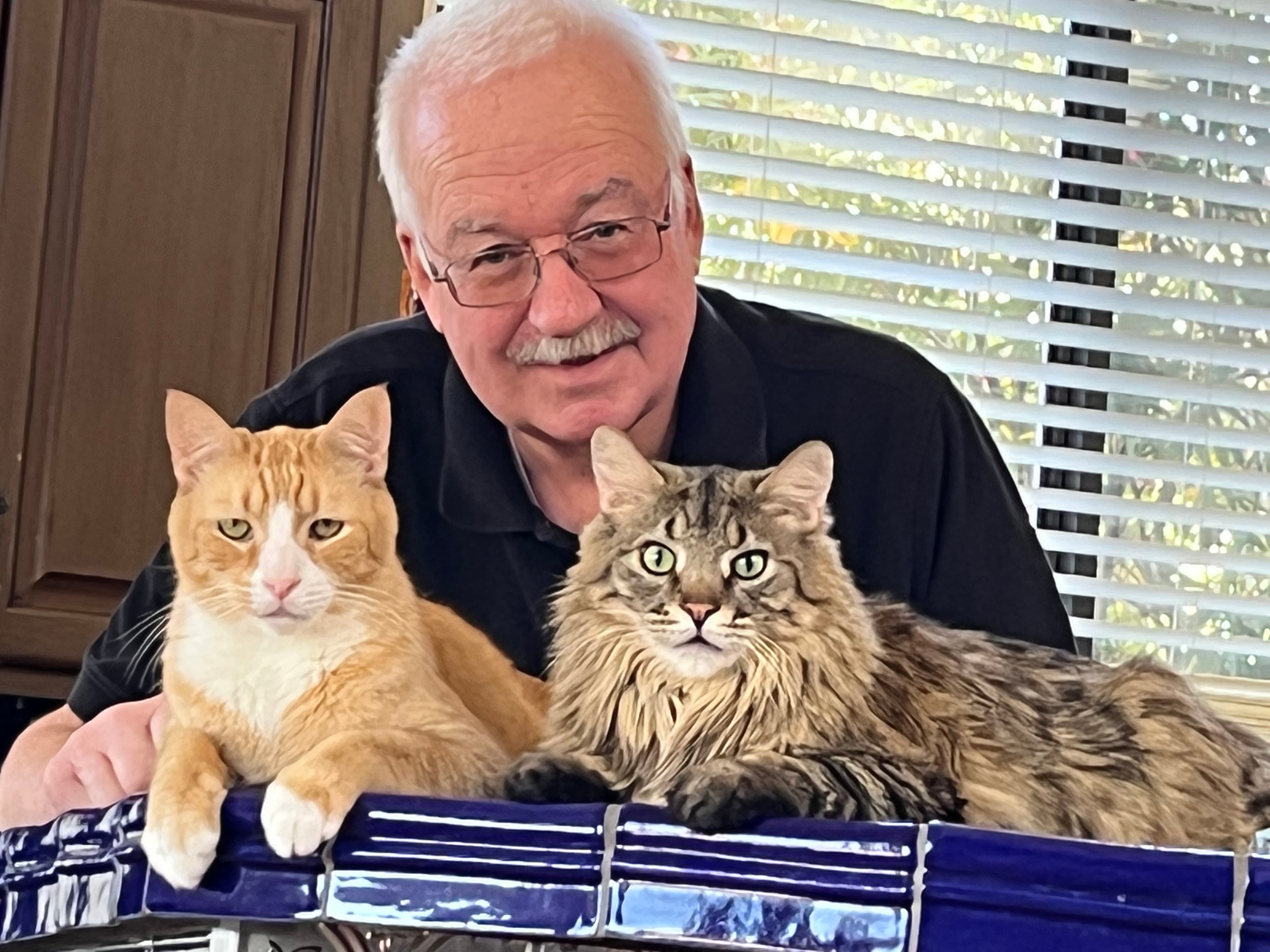 Senator John Kavanagh — photo 12